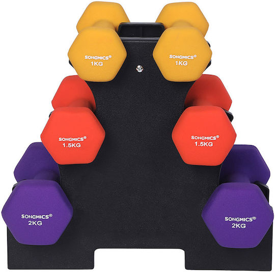Songmics Hexagonal Dumbbell Set Stand 2 X 1 Kg 2 X 1.5 Kg 2 X 2 Kg Hand Weights Matte Finish