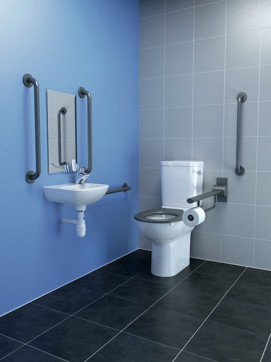 Ideal Standard Λαβή Μπάνιου Inox ΑΜΕΑ 80cm Λευκή