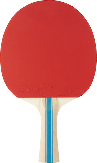 Stiga Hobby Instinct Ρακέτα Ping Pong