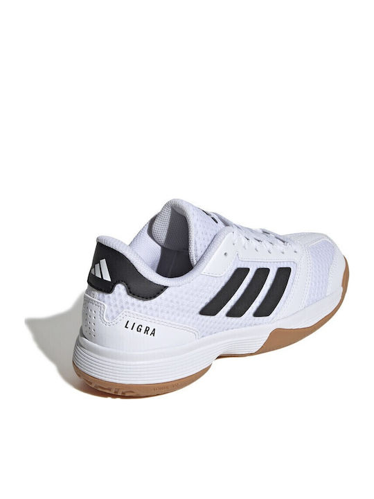 Ligra 8 K Kids Sports Shoes Volleyball with Laces White