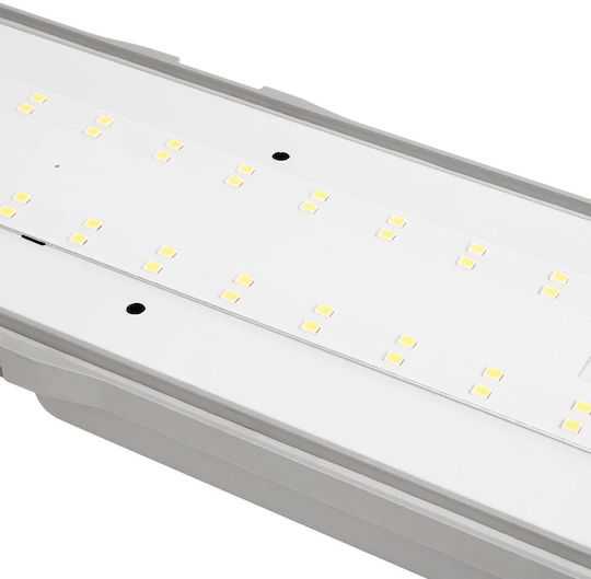 GloboStar Commercial Linear LED Ceiling Light 24W Cold White IP65 Dimmable