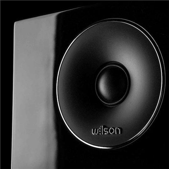 Wilson Exclusive Line 8 4700124 Pereche Boxe Hi-Fi pardoseală L19.5xA30.2xÎ116cm. Negru