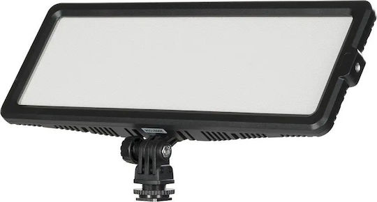 Quadralite LED Light