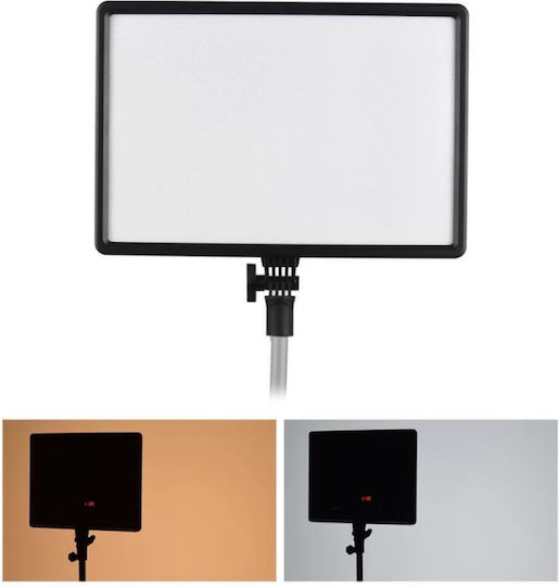 Visico Kit Φωτισμού 50W με Φωτεινότητα LUX 1000 Lux