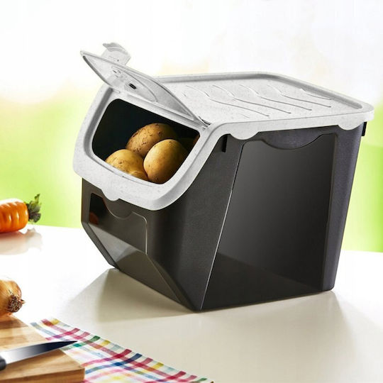 Orion Cutie De Depozitare Din Plastic Cu Capac 12lt