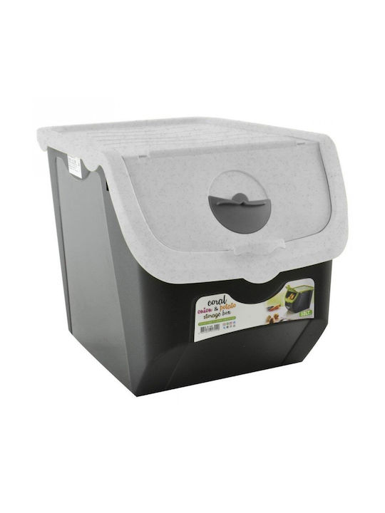 Orion Plastic Cutie de Depozitare cu Capac Gri 30x23.5x23.5cm 1buc