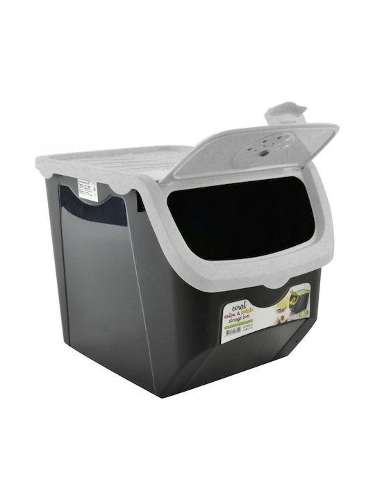 Orion Plastic Cutie de Depozitare cu Capac Gri 30x23.5x23.5cm 1buc