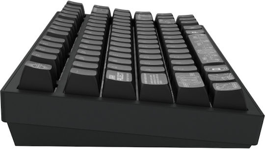 Dark Project ALU81A Terra Nova Wireless Gaming Mechanical Keyboard with G3MS Moonstone switches and RGB lighting (International English)