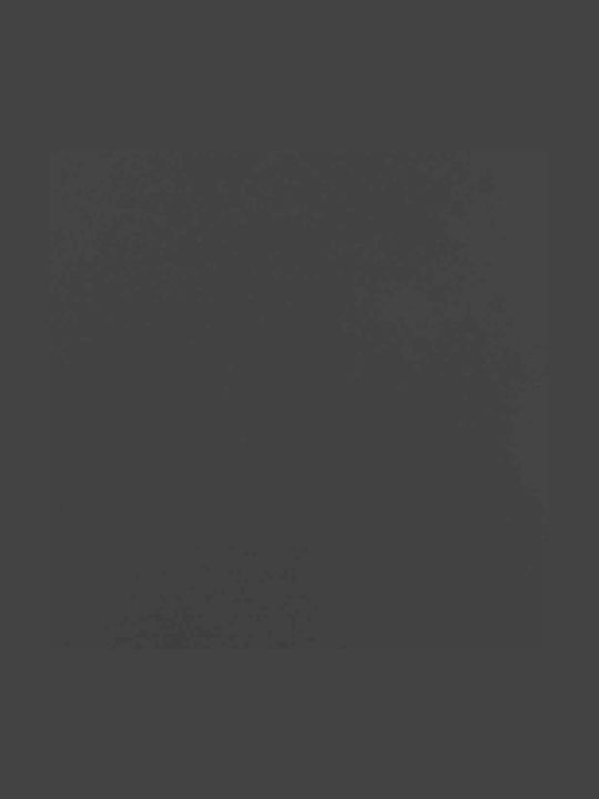 vidaXL Inox Ράφι Αποθήκευσης Ξύλων 90x28x90cm Μαύρο