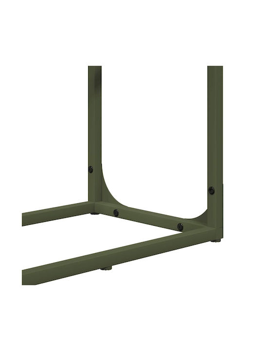 vidaXL Lemn de foc Lemn Raft Depozitare lemne 60x25x100cm Verde