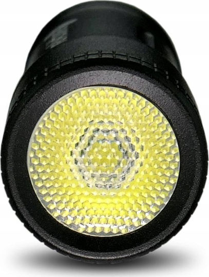 everActive Keychain Flashlight LED IPX4 with Maximum Brightness 100lm Black