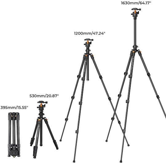 K&F Concept B1234M Video Tripod With KF28S Nylon Ball Head