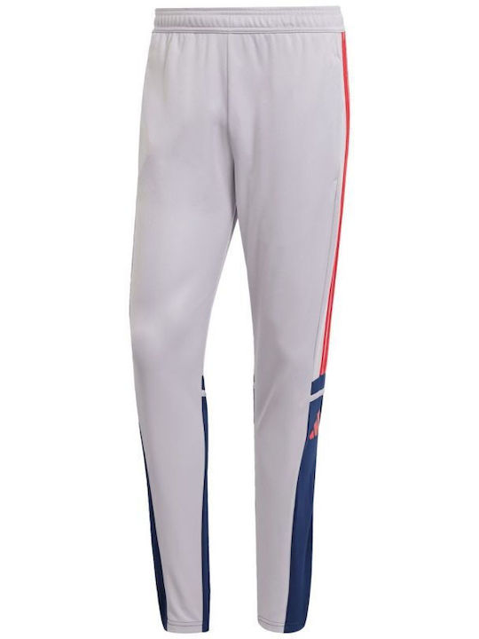 Squadra Pantaloni de trening Lucios Gri