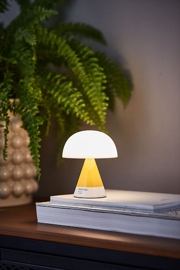 Lexon Decorative Lamp Lexon Decorative Lamp