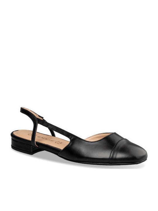 Envie Shoes