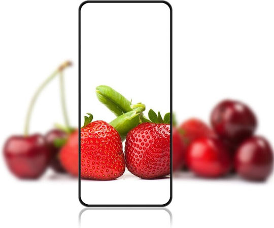 Full Face Tempered Glass (OnePlus Nord 4)