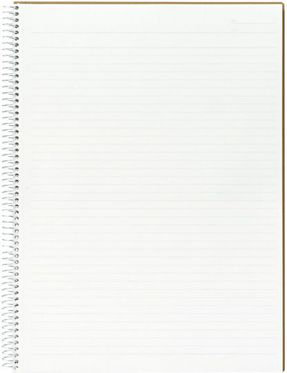 Spiral Spiral Notebook A4 80 Sheets Ruled