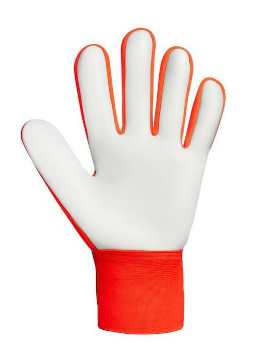 Reusch Attrakt Starter Solid M Γάντια Τερματοφύλακα Ενηλίκων Πορτοκαλί
