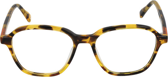 Benetton Weiblich Kunststoff Brillenrahmen Braun BEO1099 103