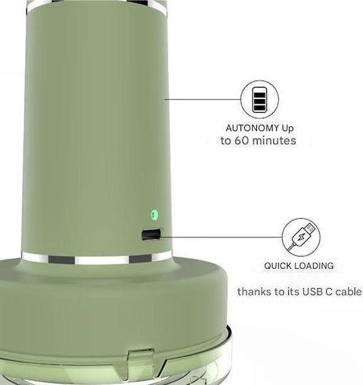 Lint Remover Steamone Sage