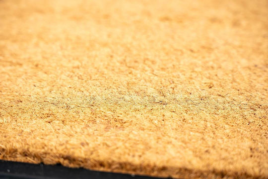 Sdim Πατάκι Εισόδου Κοκοφοίνικα Καουτσούκ Αντιολισθητικό Υπόστρωμα Impala 541 Plain 60x80εκ
