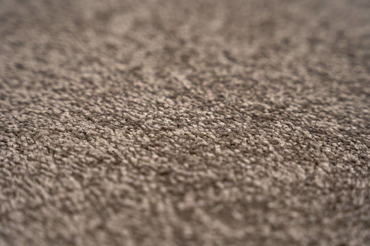 Sdim Eingangsmatte Teppich Rutschfeste Unterseite Memphis 073 Beige 60x80cm