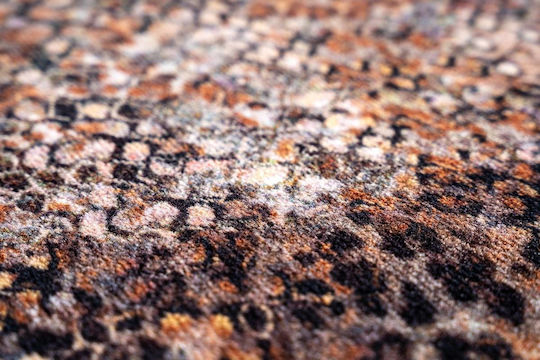Sdim Entrance Mat Carpet Non-slip Backing Walk & Wash 948 Snake 67x80cm Thickness 8mm