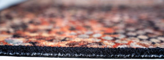 Sdim Eingangsmatte Teppich Rutschfeste Rückseite Ambiente 948 Schlange 50x75cm Dicke 8mm