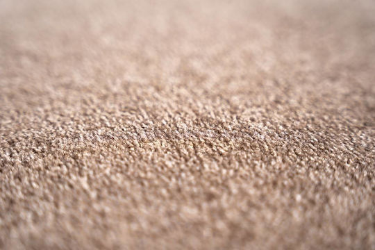 Sdim Entrance Mat Carpet Non-Slip Backing Walk & Wash 084 Lucky Lines Beige 67x80cm Thickness 8mm