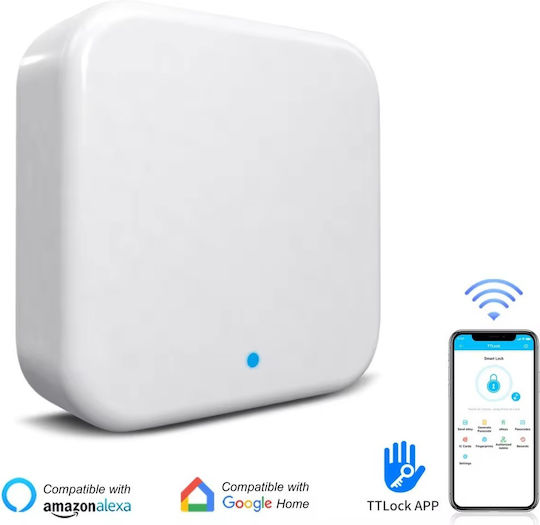 Ηλεκτρονική Κλειδαριά με Σύνδεση Wi-Fi και Bluetooth Ασημί