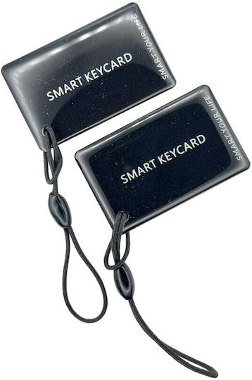 Electronic Lock in color Silver with Connectivity Wi-Fi and Bluetooth