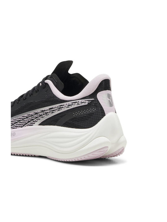 Velocity Nitro 3 Sport Shoes Running Black / Lilac - Black Lilac