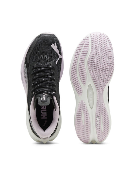 Velocity Nitro 3 Sport Shoes Running Black / Lilac - Black Lilac