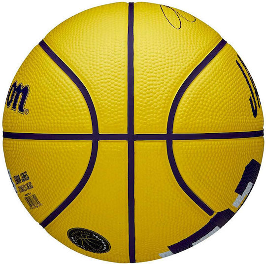 Wilson Player Icon Mini Mingea de baschet Interior/Exterior