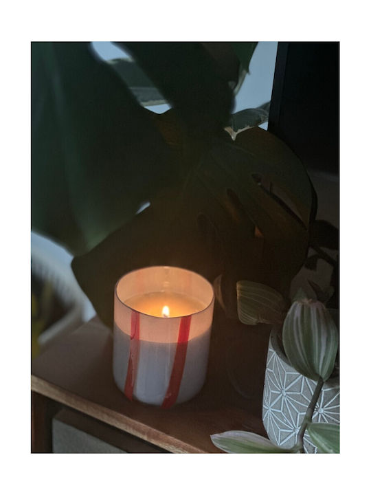Maegen Aromatic Candle in Jar with Perfume Tomato Mint Leaf 280g