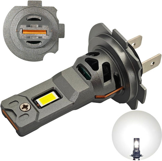 Lamps Car H7 / H18 Canbus LED 5500K Cold White 32V 2pcs