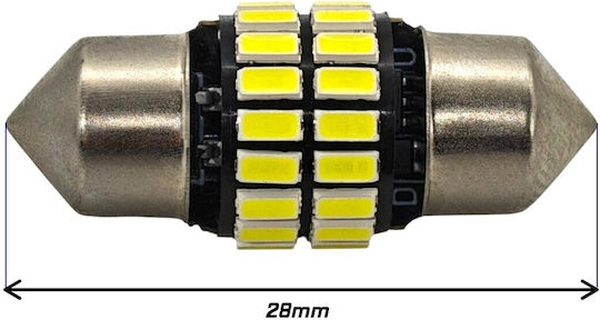 Lampen Auto C3W / C5W / C10W / C21W Canbus LED 5500K Kaltes Weiß 12V 1Stück