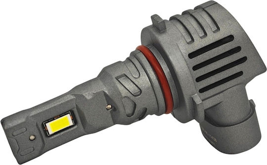 Lamps Car HB3 / DRL Canbus LED 5500K Cold White 32V 2pcs