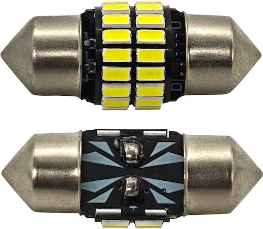 Lampen Auto C3W / C5W / C10W / C21W Canbus LED 5500K Kaltes Weiß 12V 1Stück