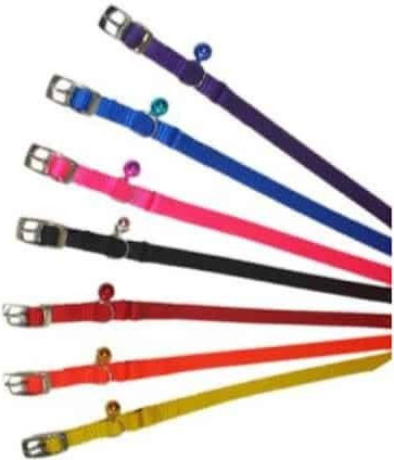 Pet Camelot Katzenhalsband Orange