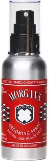 Morgan's Morgan's Pflegespray für Mäßigen Halt 100ml