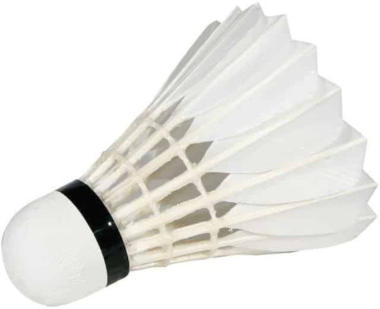 Φτερά Φυσικά Badminton Victor Pro Court Speed 77