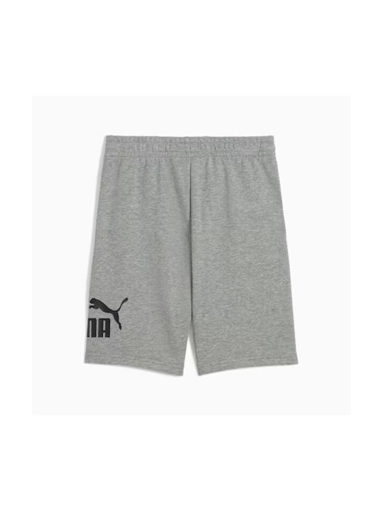 Puma Kids Shorts/Bermuda Fabric Gray