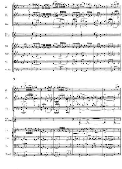 Schubert Symphony Nr.5 In Bb Major D485 Pocket Score