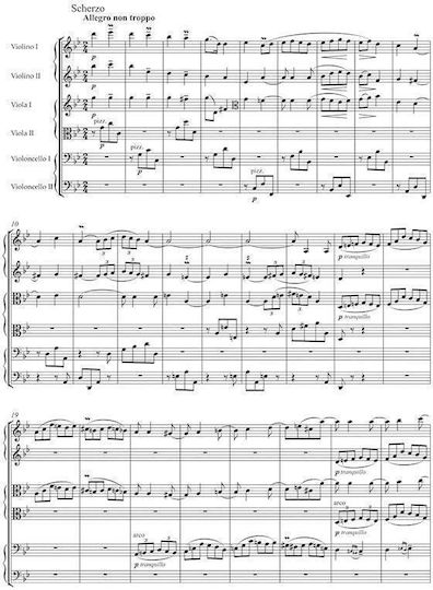 Brahms Sextet In G Major Op.36 Pocket Score