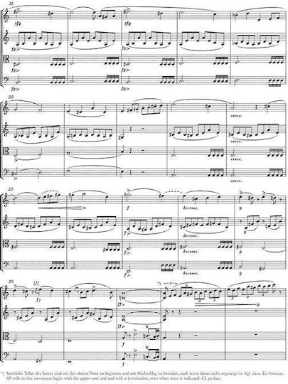 Schubert String Quartet D804 D703 Pocket Score