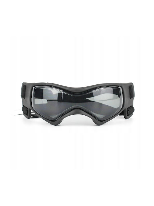 Schutzbrille Hunde Katzen Haustiere Motorrad Fahrrad UV400