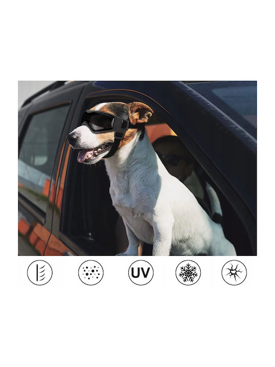 Schutzbrille Hunde Katzen Haustiere Motorrad Fahrrad UV400