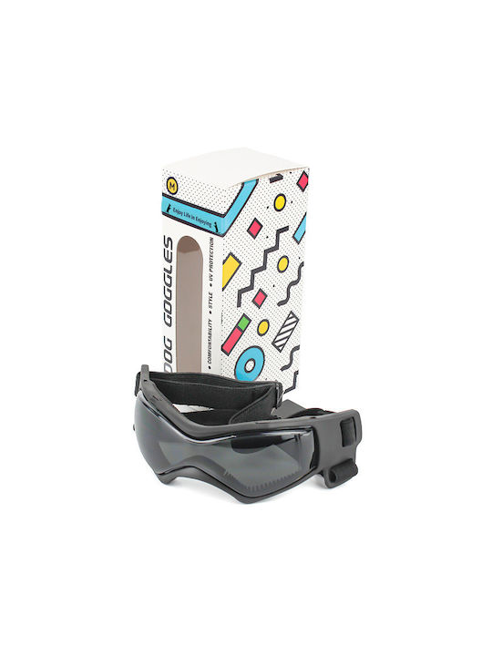 Schutzbrille Hunde Katzen Haustiere Motorrad Fahrrad UV400