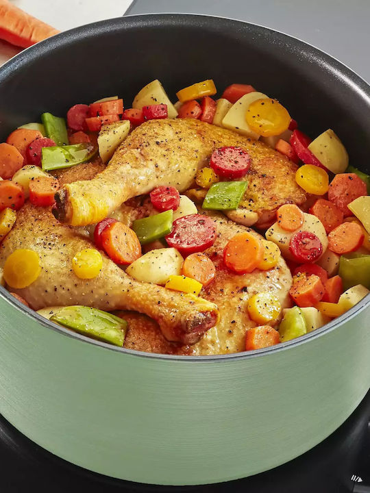 Tefal Blossom Дълбока Тенджера от Алуминий 5.2лт / 24см